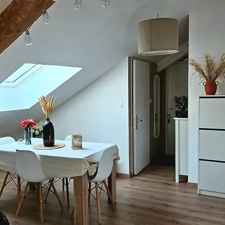 Cocon De Charme Au Coeur Du Quartier Thermal De Vittel