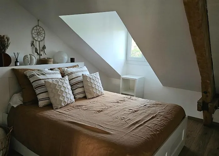 Cocon De Charme Au Coeur Du Quartier Thermal De * Vittel