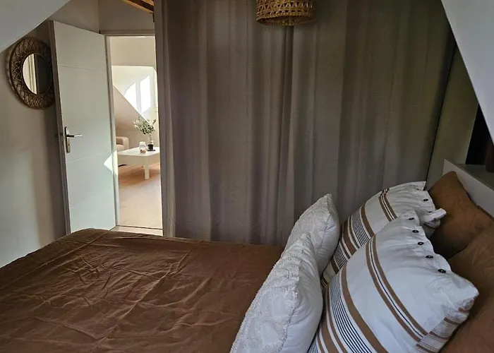 Cocon De Charme Au Coeur Du Quartier Thermal De Apartment *