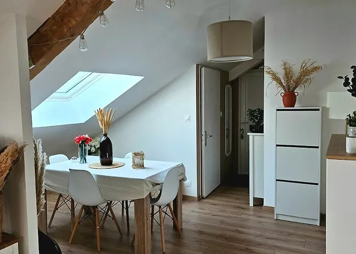 Cocon De Charme Au Coeur Du Quartier Thermal De Vittel