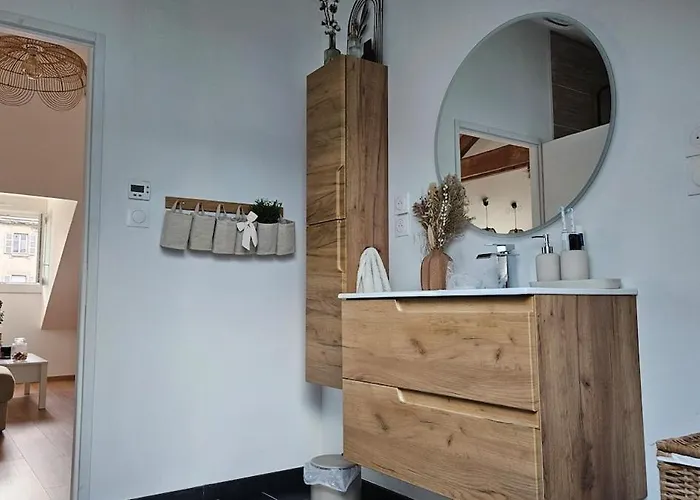 Apartment Cocon De Charme Au Coeur Du Quartier Thermal De Vittel